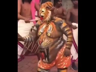 tiger