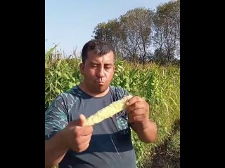 man and corn